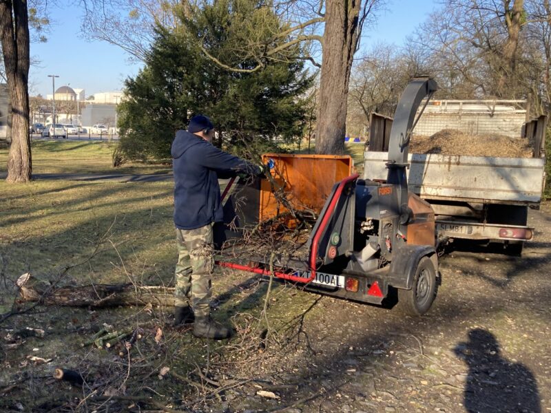 Wynajem Rębaka Wrocław, Usługi Ogrodnicze Zrębkomania