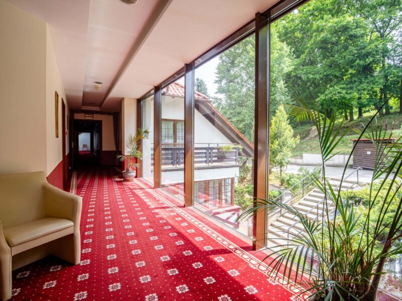 Hotel Dziki Potok Karpacz - Konferencje & Spa